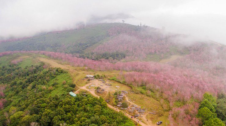 ภูลมโล เลย สถานที่ท่องเที่ยว